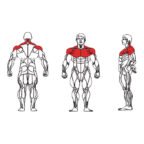 Dual - FE-002A Pec Fly and Rear Delt-1