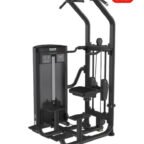 Dual - FE-008 Assist Dip and Chin