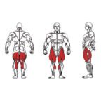 Dual - FE-1314B Leg Curl and Extension-1