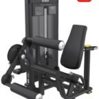 Dual - FE-1314B Leg Curl and Extension