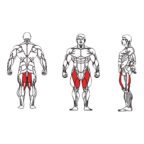 Dual - FE-1819 Abductor and Adductor-1