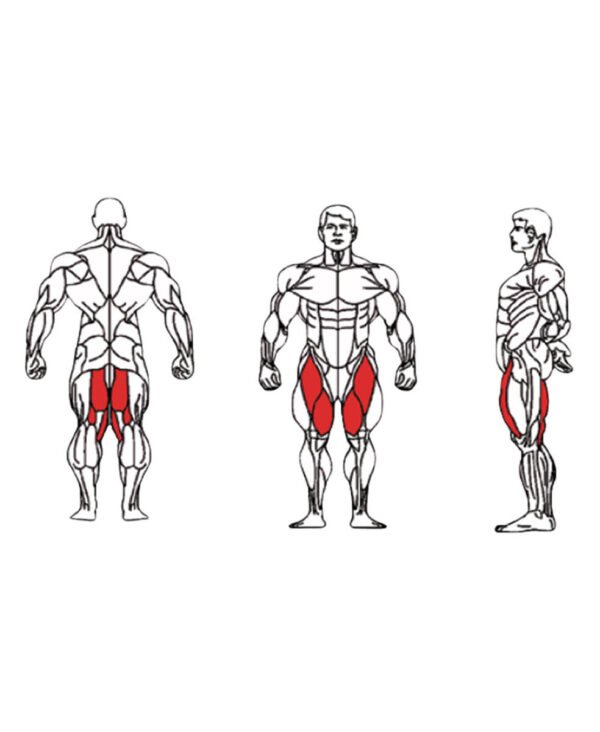 Dual - FE-1819 Abductor and Adductor-1 Dual - FE-1819 Abductor and Adductor-1