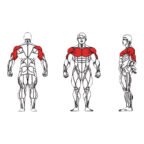 FE-001 Chest Press-1