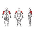 FE-003 Shoulder Press-1