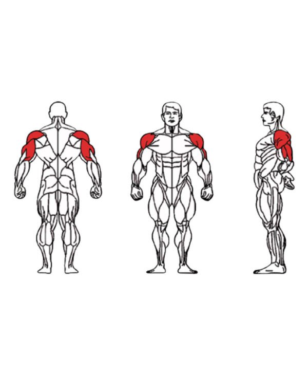 FE-003 Shoulder Press-1 FE-003 Shoulder Press-1