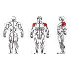 FE-003A Lateral Raise-1