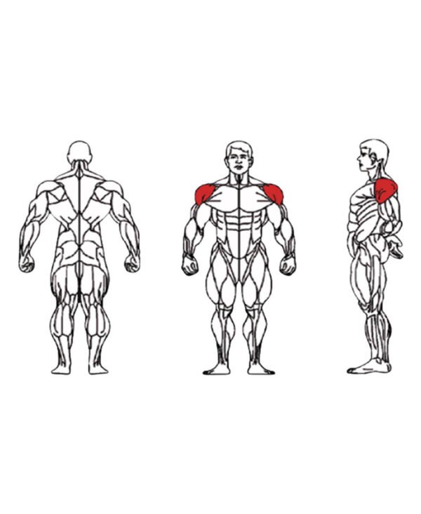 FE-003A Lateral Raise-1 FE-003A Lateral Raise-1