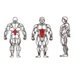 FE-010A Back Extension-1