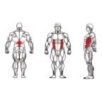 FE-011 Torso Rotation-1