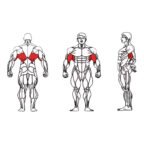 FE-012 Lat Pull Down-1