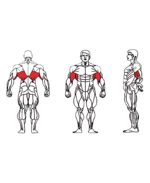 FE-012 Lat Pull Down-1