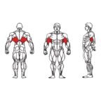 FE-012T Lat Pull Down-1