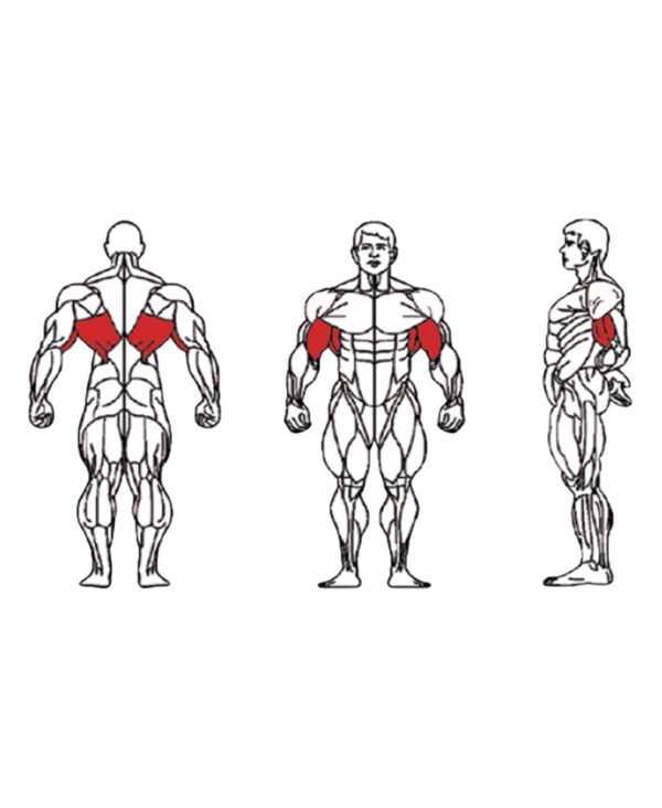 FE-012T Lat Pull Down-1