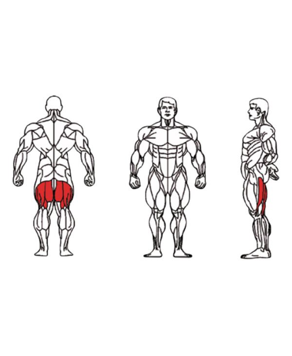 FE-013 Seated Leg Curl-1