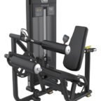 FE-013 Seated Leg Curl