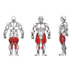 FE-013A Prone Leg Curl-1