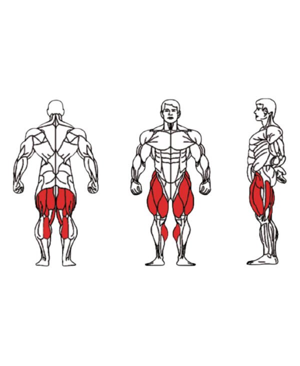 FE-013A Prone Leg Curl-1