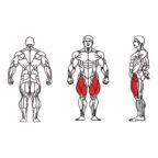 FE-014 Leg Extension-1