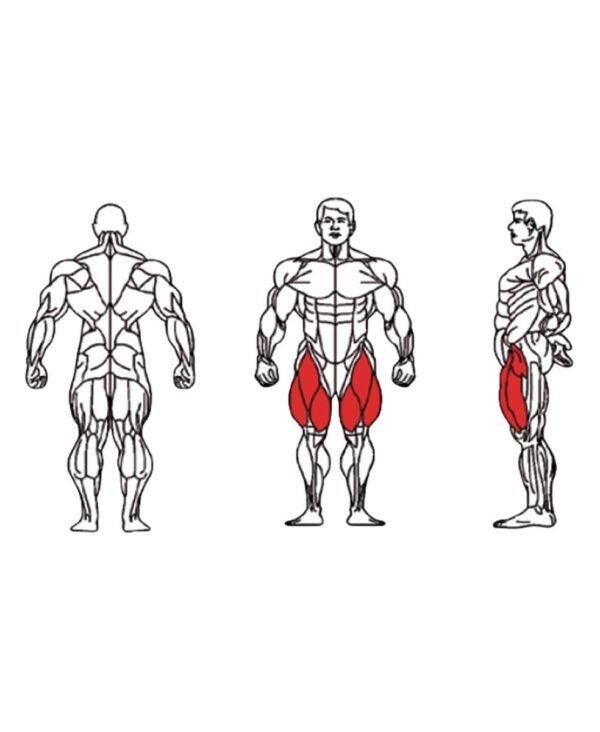 FE-014 Leg Extension-1 FE-014 Leg Extension-1