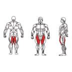 FE-018 Hip Adductor-1