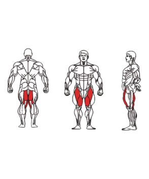 FE-018 Hip Adductor-1