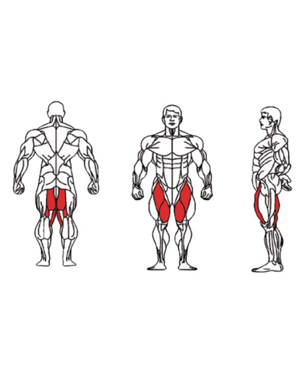 FE-018 Hip Adductor-1