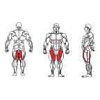 FE-019 Hip Abductor-1