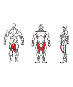 FE-019 Hip Abductor-1