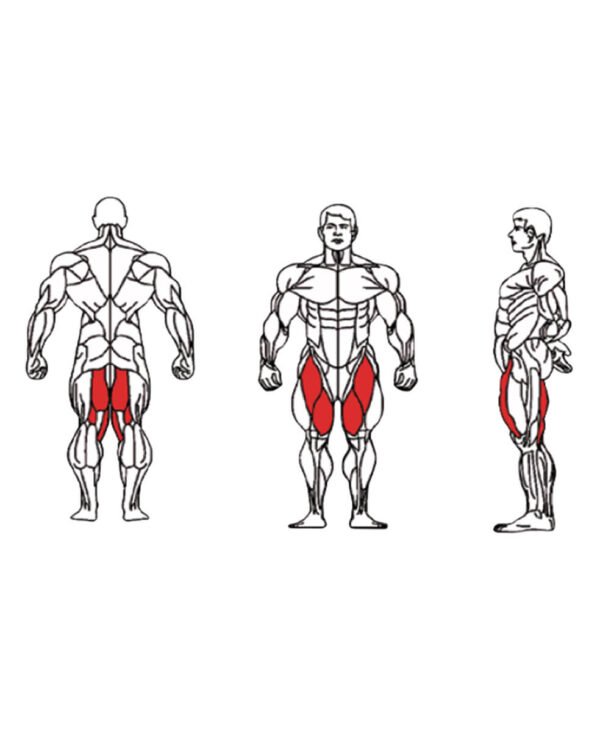 FE-019 Hip Abductor-1