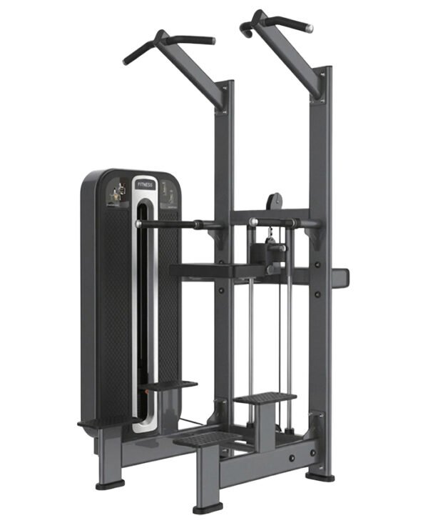 E609 Pull Up Assistance Exercise