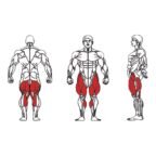 Dual-FE-1314B-Leg-Curl-and-Extension-1-1.jpg