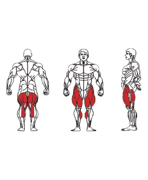 Dual-FE-1314B-Leg-Curl-and-Extension-1-1.jpg Dual-FE-1314B-Leg-Curl-and-Extension-1-1.jpg