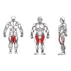 Dual-FE-1819-Abductor-and-Adductor-1-1.jpg