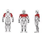 FE-007-Triceps-1-1.jpg