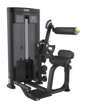 FE-010A Back Extension