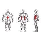 FE-011-Torso-Rotation-1-1.jpg