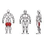 FE-013-Seated-Leg-Curl-1-1.jpg