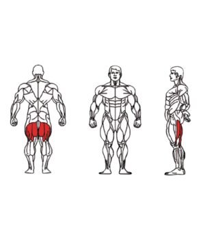 FE-013-Seated-Leg-Curl-1-1.jpg