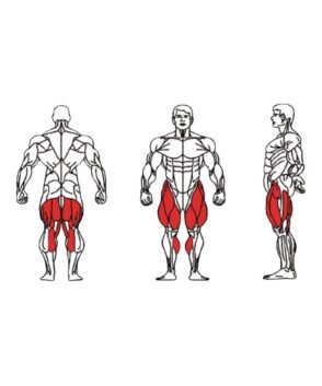 FE-013A-Prone-Leg-Curl-1-1.jpg