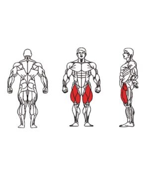 FE-014-Leg-Extension-1-1.jpg