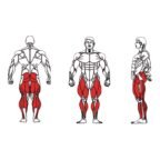FE-015-Leg-Press-1-1.jpg