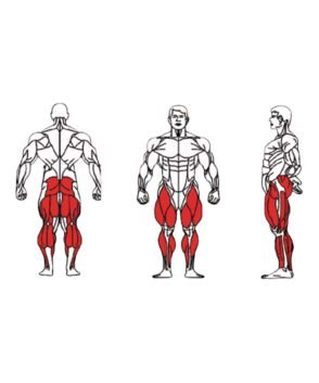 FE-015-Leg-Press-1-1.jpg