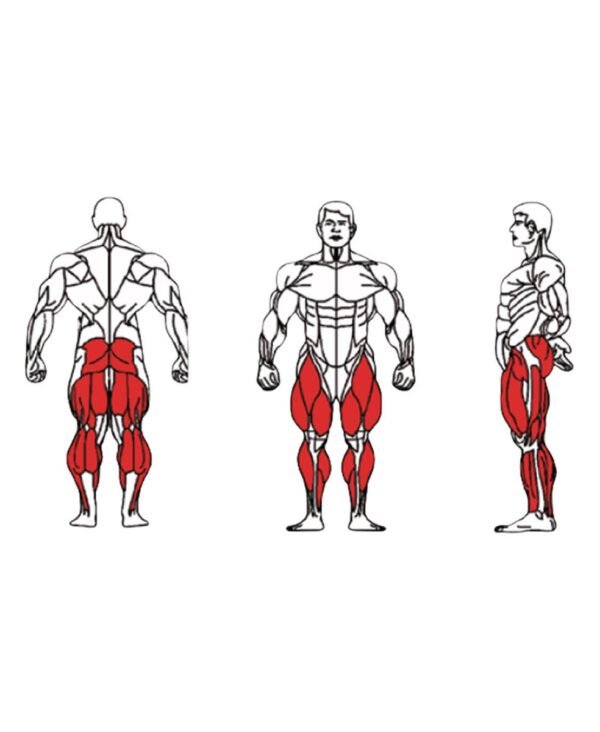 FE-015-Leg-Press-1-1.jpg FE-015-Leg-Press-1-1.jpg