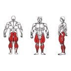 FE-016-Multi-Hip-1-1.jpg