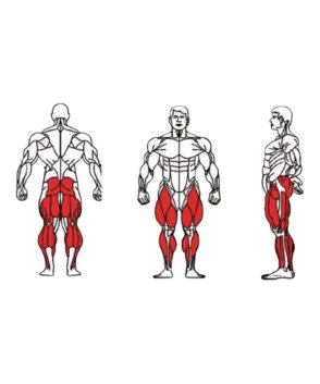FE-016-Multi-Hip-1-1.jpg