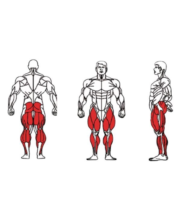 FE-016-Multi-Hip-1-1.jpg FE-016-Multi-Hip-1-1.jpg