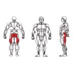 FE-016A-Glute-1-1.jpg