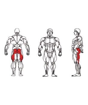 FE-016A-Glute-1-1.jpg
