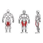 FE-018-Hip-Adductor-1-1.jpg