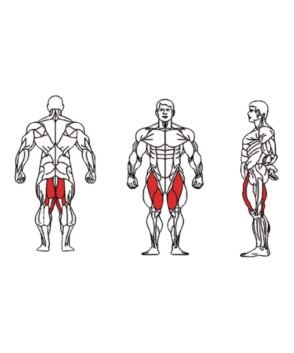 FE-018-Hip-Adductor-1-1.jpg